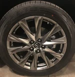 20190107_013853378_iOS (2).webp