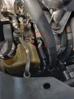 id please.webp