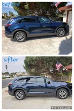 Collage 2019-04-25 11_19_50.webp