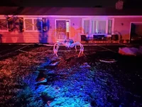 Spider.webp