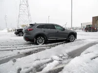 DSCN5495.webp