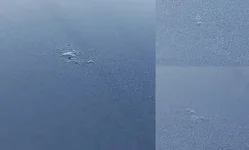 rust bubbles.webp