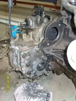 S1031230.jpg