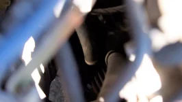 engine bay 1.webp