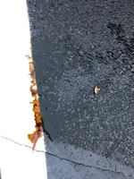 09-15-2020 Oil leak -1.webp