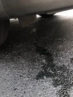 09-15-2020 Oil leak -2.webp