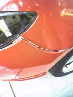 Picture008[1].webp