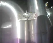 bolt.webp