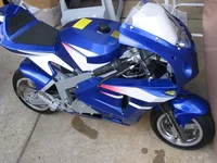 Random 001.webp