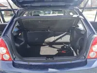 trunk.webp