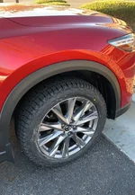 Wildpeak Tires.webp