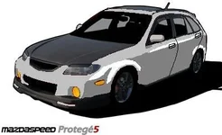 cell_msp5_5(1fastmp5)1.webp