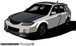 cell_msp5_5(1fastmp5)1.webp
