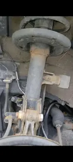 More Rust (19).webp