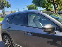 blackedtrims.webp