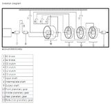 Skeleton Diagram.png