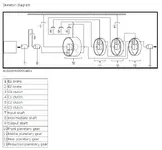 Skeleton Diagram.webp