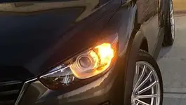 F4325449-F18F-4AF9-BF3A-C9898891A324.webp