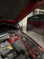336300476_771911500749024_1776669844784085148_n.webp