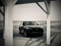 cx53.webp