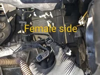 Female.webp