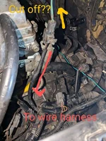 Zoomed In.webp