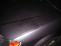 DSCN0455.webp