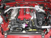 bov-010.webp