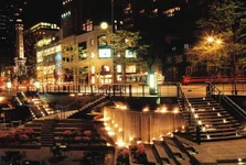 MrRose-R1-22 (2).webp