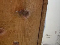 JPG Daddy Convention 2.webp