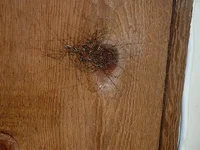 JPG Daddy Convention 3.webp