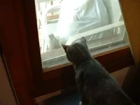 JPG KC & Squirrel.webp