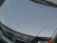 IMG_0037 (Large).webp