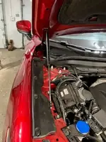hood strut.webp