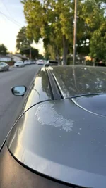 IMG_1720.webp