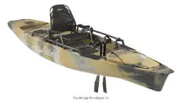 Pro Angler 14.webp