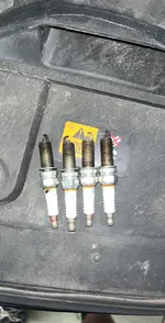 SparkPlugs.webp