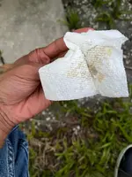 cx-5 Oil leak on napkin.webp