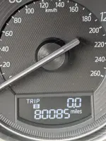 boobs.webp