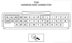 TCM-pinout.webp