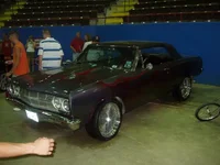 P1010035.webp