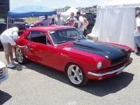 P1010044.webp