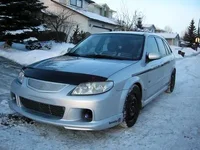 winterprotege.webp