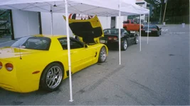 vettes.webp