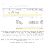 no-wing[1].webp