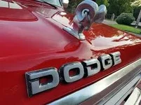 dimages.webp dimages.webp