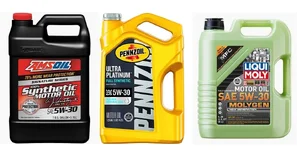 OILS.webp