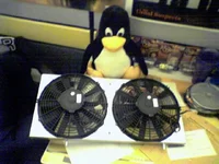 awrfans.webp