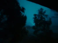 DSCF0010.webp