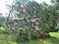 DSCF0041.webp